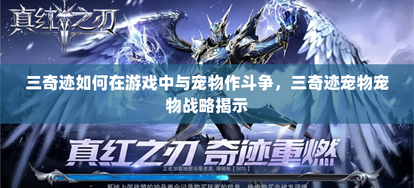 三奇迹如何在游戏中与宠物作斗争，三奇迹宠物宠物战略揭示 第2张