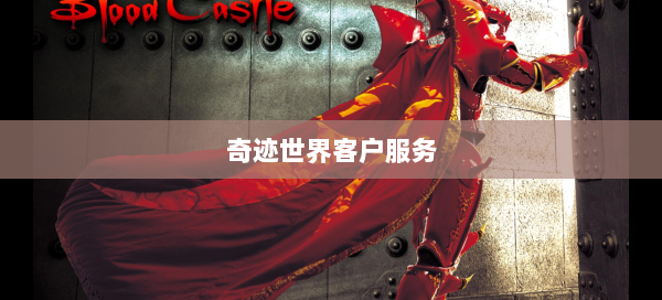 奇迹世界客户服务 第2张
