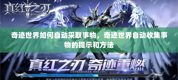 奇迹世界如何自动采取事物，奇迹世界自动收集事物的提示和方法