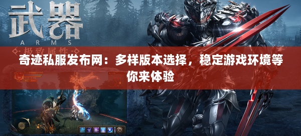 奇迹私服发布网：多样版本选择，稳定游戏环境等你来体验
