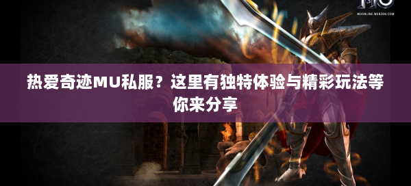 热爱奇迹MU私服？这里有独特体验与精彩玩法等你来分享 第2张