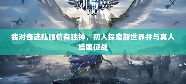 我对奇迹私服情有独钟，初入探索新世界并与真人结盟征战