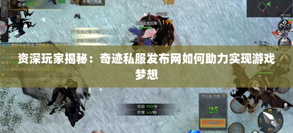 资深玩家揭秘：奇迹私服发布网如何助力实现游戏梦想 第2张