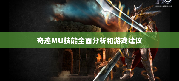 奇迹MU技能全面分析和游戏建议  第3张