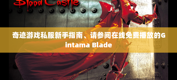 奇迹游戏私服新手指南、请参阅在线免费播放的Gintama Blade  第2张